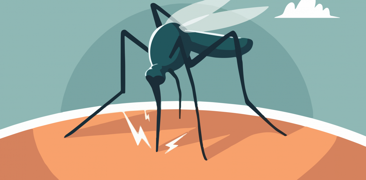 Dengue en Chile: Esto es todo lo que se sabe hasta ahora
